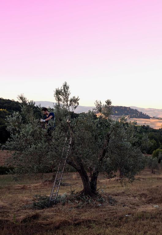 Villa Fonteintanata Miemo Exteriör bild